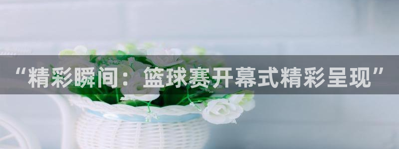 沙巴·体育综合平台官网